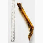 Anco - Roe Deer Leg