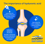 Zooomy Hyaluronic Acid Joint Care For Dogs 100ml - Image 3